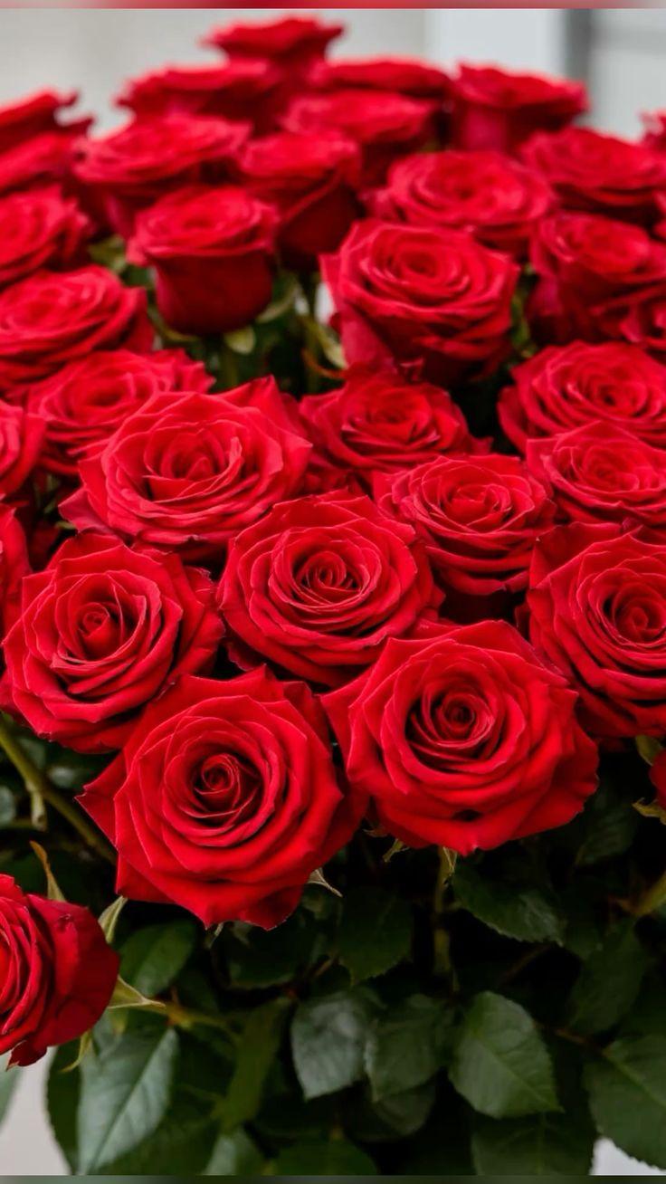 Corporate floral consultation example